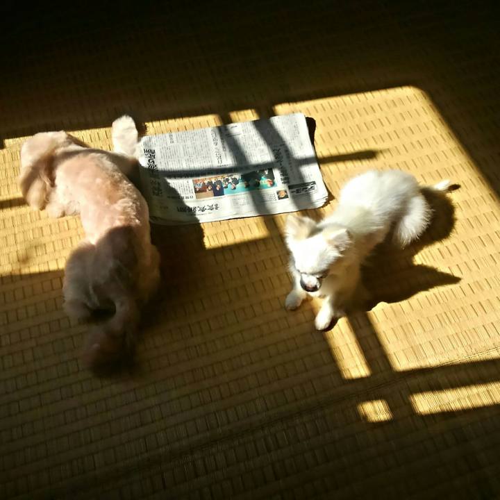 05467a63 a966 47bf b542 c1578c3e2ad5 1508762607720