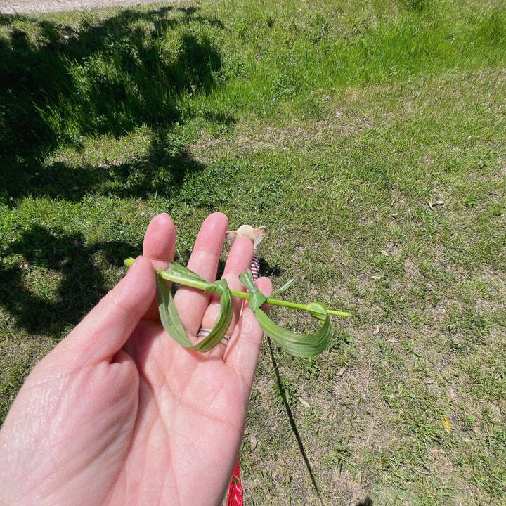 05467f79 301f 4ec6 8269 7f44c06d1bed 1682585213921