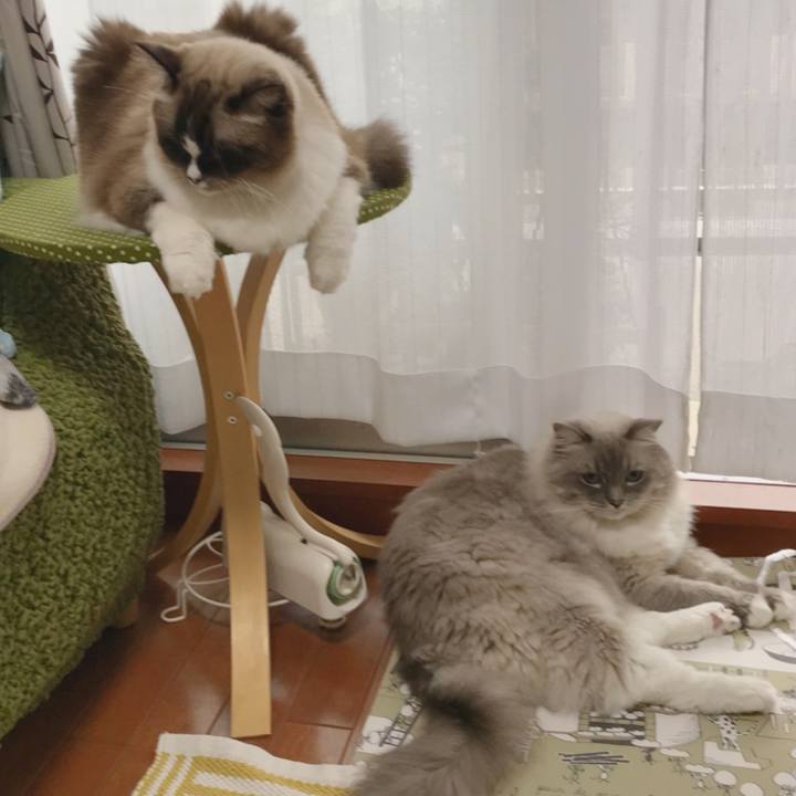 05467fac a417 4638 93ab 5871bbd18041 1508670175097