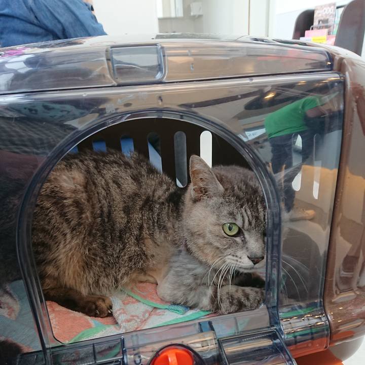 05468b65 78fb 42f5 9936 47c66f95b80d 1592015871117