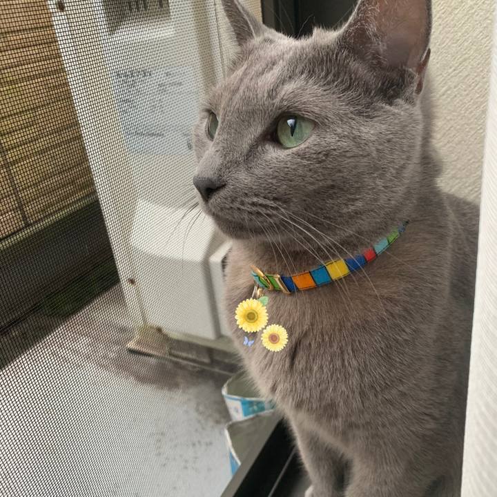 05469c93 671e 4708 9912 9b24000bc827 1659915968892