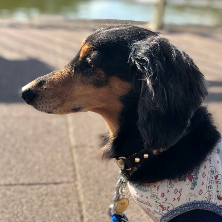 0546a284 aa1f 4a55 a2eb bb8e2c06a3cd 1548510107474