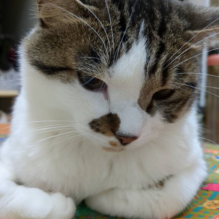 0546fbd6 e4b0 4100 a6a6 95b1d452e6f2 1684495247460