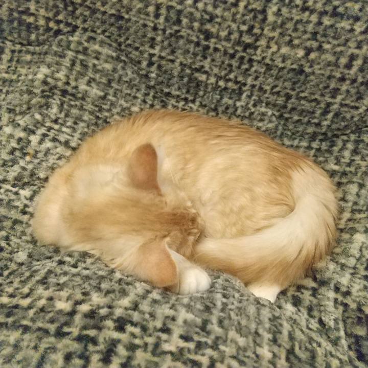 05470a0a b89e 4dcc bde9 4ddeff5f2320 1608033026025