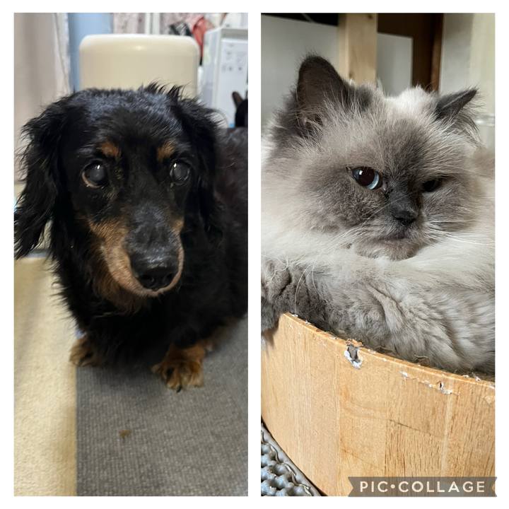 05476ee6 992f 44ee 8ff1 870a05064607 1754317759224