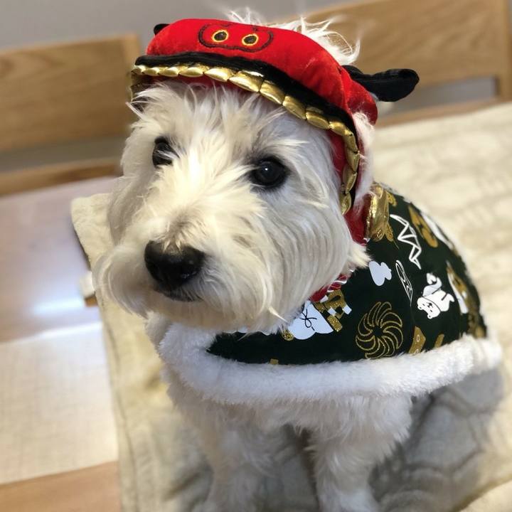 05477071 47c0 40b0 a0dc 4660bbfc4896 1515164494188