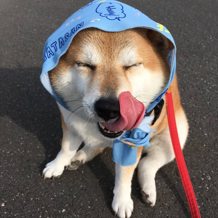 054786d0 ac69 4964 864a ef8643d4bded 1597018986987