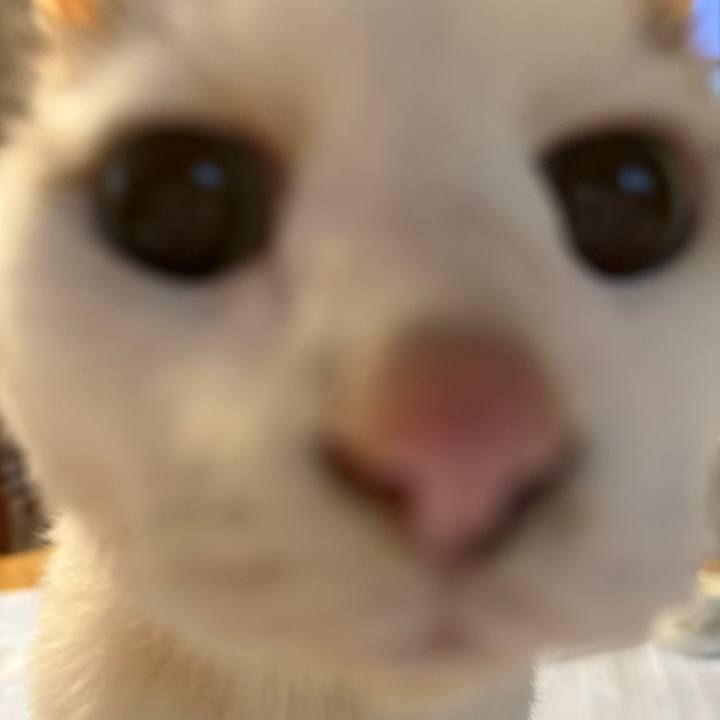 05479191 345c 4c47 b98e d6abace58647 1762652079224