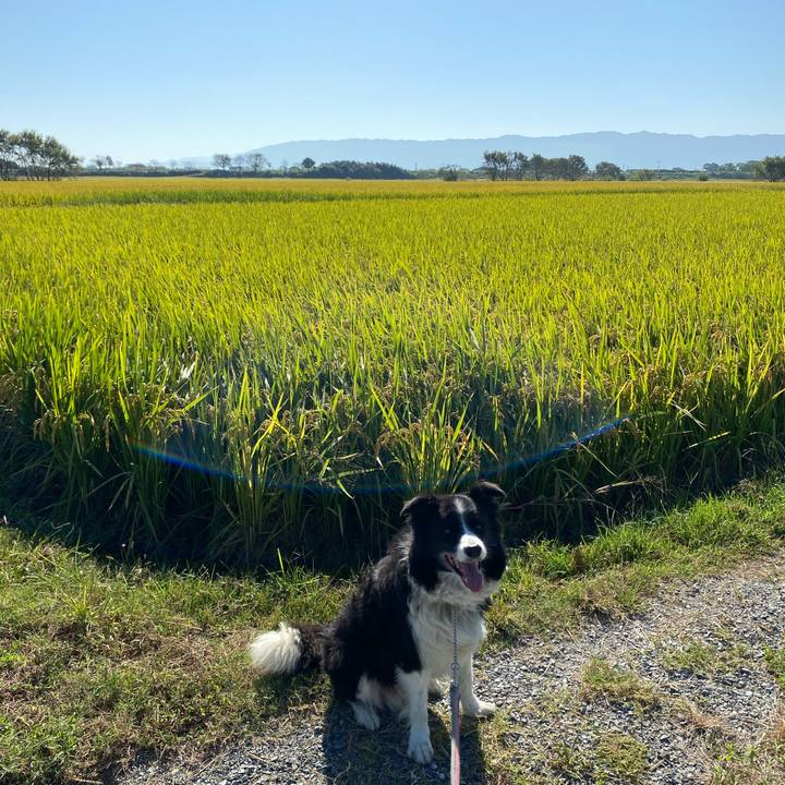 05479eae 4adf 4f23 b004 dc0cb72e0a06 1633394378617