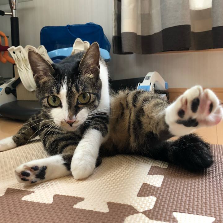 0547c913 8e64 489f a815 c79052df5f3b 1527483032711