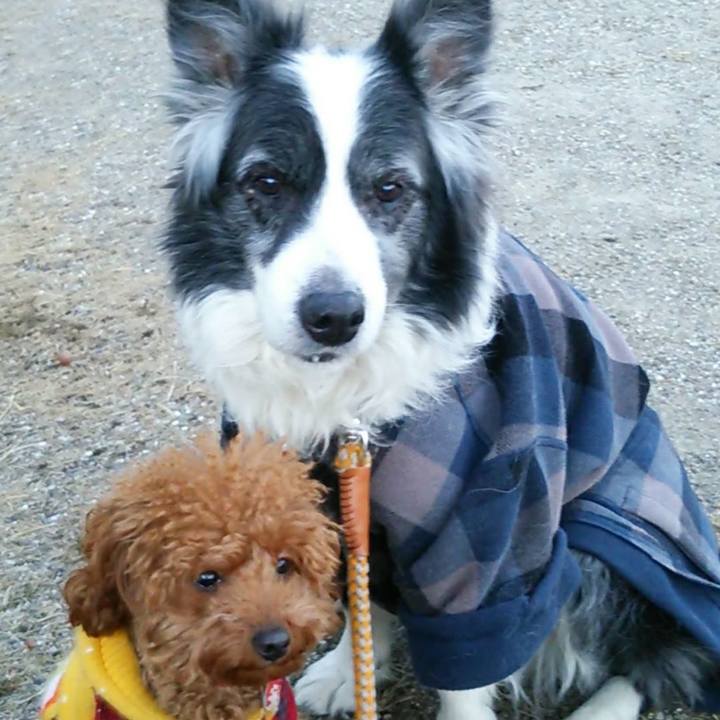 0547d19f 90af 4658 8253 9ef3a9b9241d 1771462800909