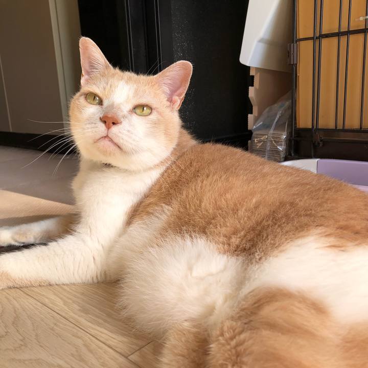 0548113f 31b0 4d52 ae03 3be322025289 1621895517535