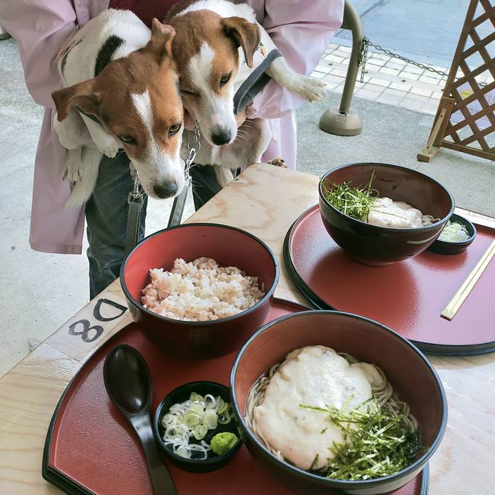 0548167d 0cca 4547 a803 fa02216ef887 1761726177224