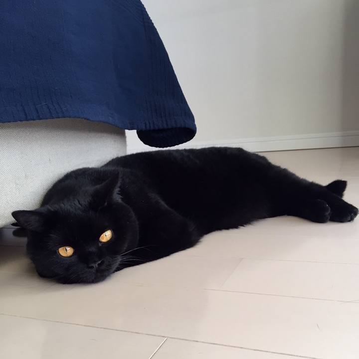 054820bd 0270 445c 8463 b1e3f570fac8 1559810139630