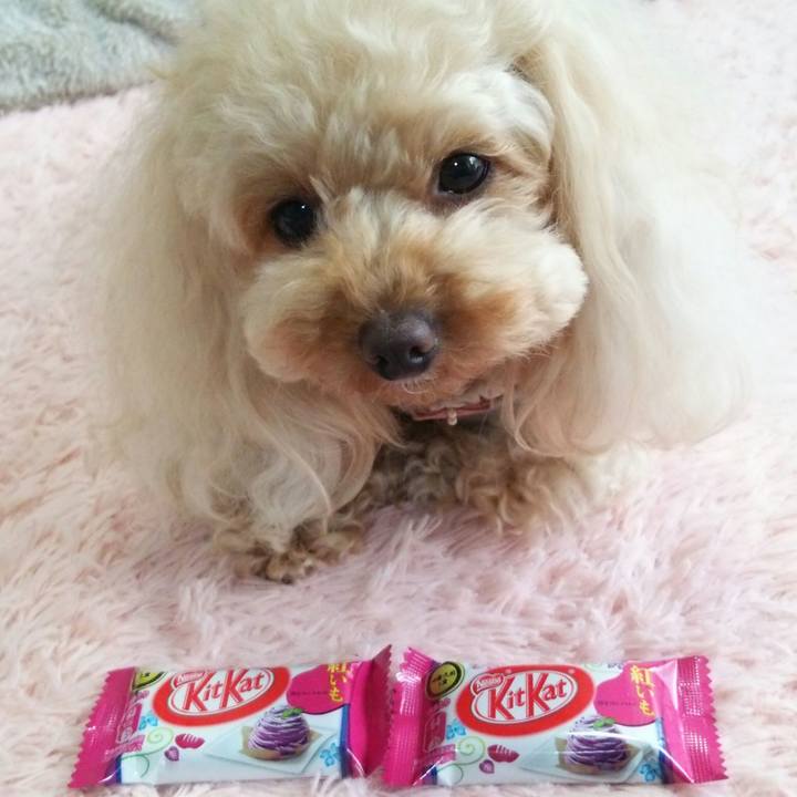 0548397f d463 4da7 bbbd ae6f32ac12b6 1523966108265