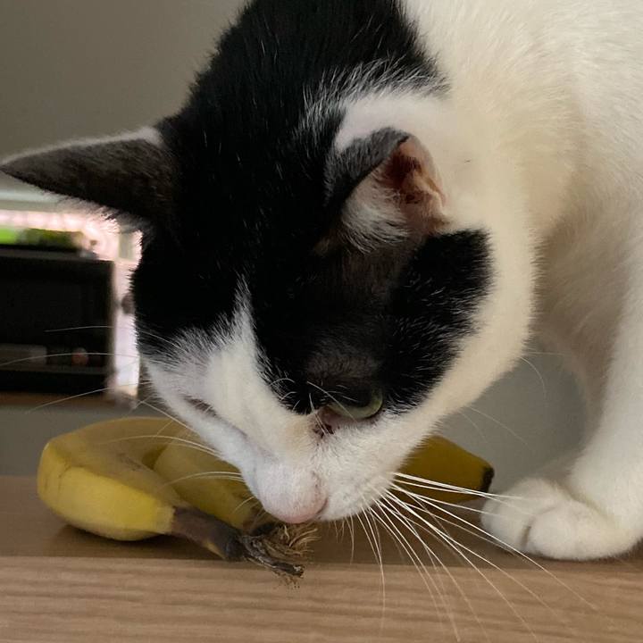 05484ec7 badf 493f bb84 2fa681cb72cc 1576416238307