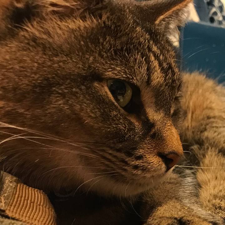 0548aae5 f399 4b52 9e82 3f173bb0da01 1559215952951