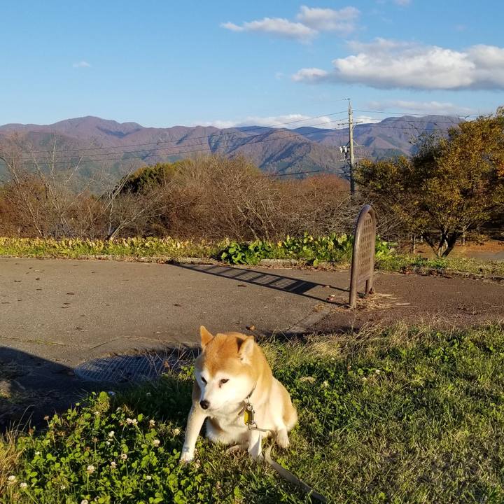 0548c337 4c81 4bda b19c 898f494af0ab 1636180897029