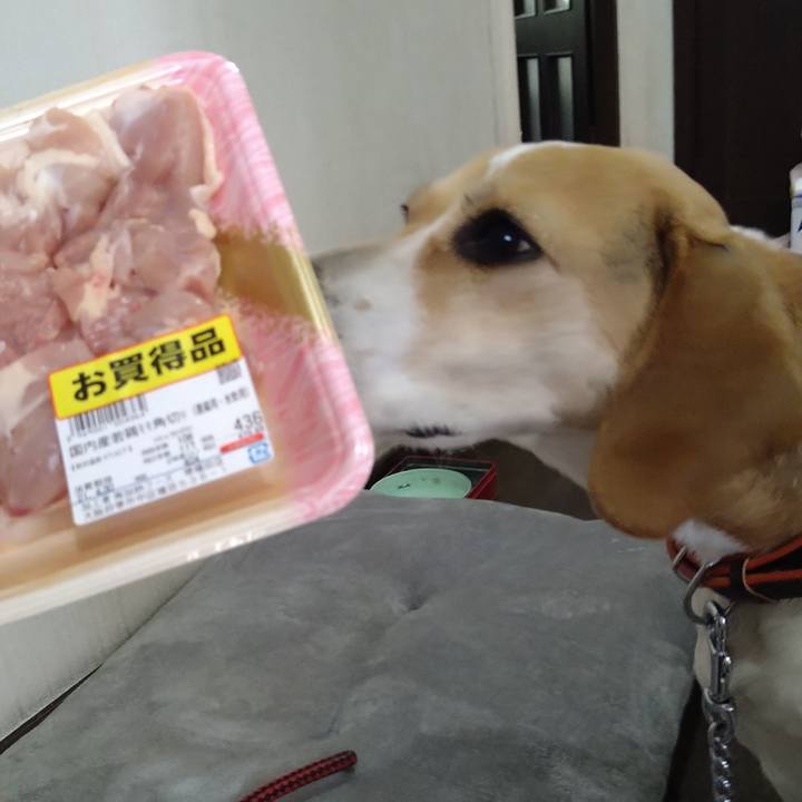 05490c8c 4877 4563 bde6 ed7b9e9aa7db 1619593705249