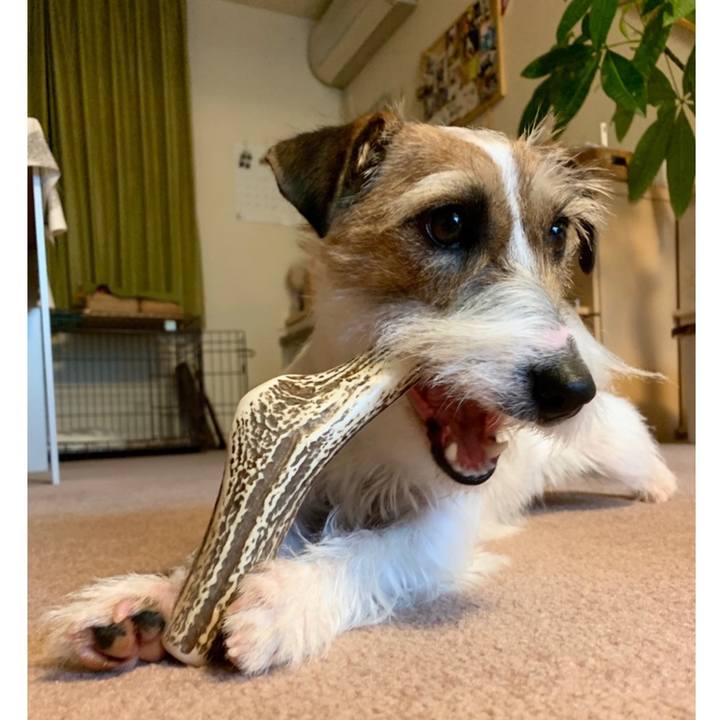 0549692c 787b 48a2 a8d6 113fa28334de 1585718316629