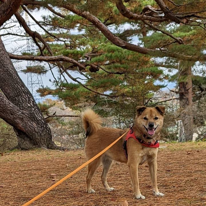 05496a03 0bf3 4ec5 a992 f84053e31b97 1702041673636