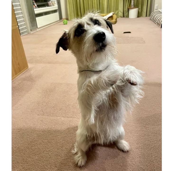 0549d0cc 0a43 4b2e a45e ec2613f33d58 1649074849991