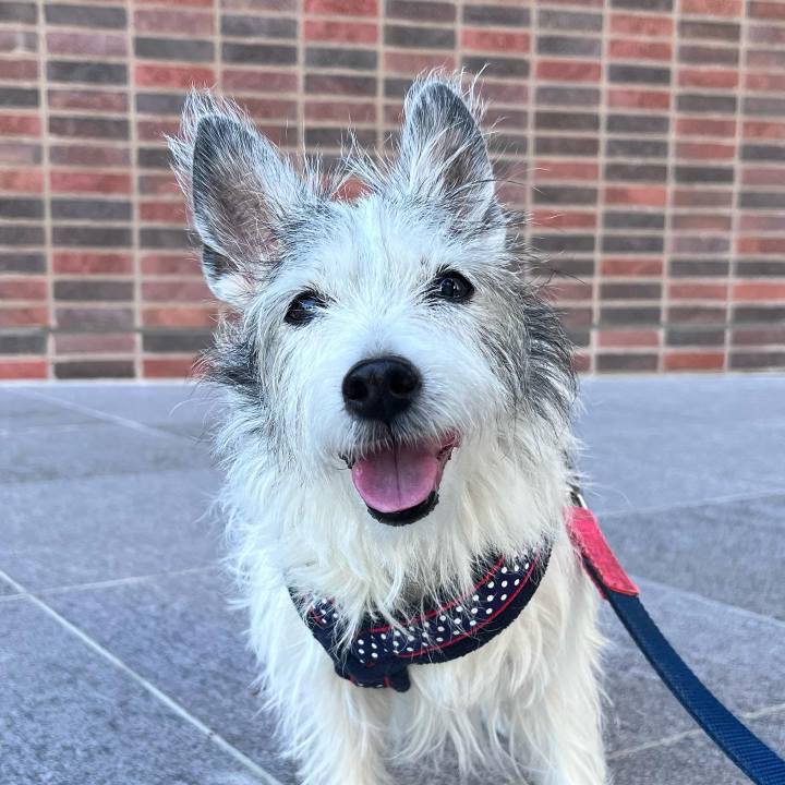 0549e0c7 0ff0 400e b22f 879672420e54 1691141447774