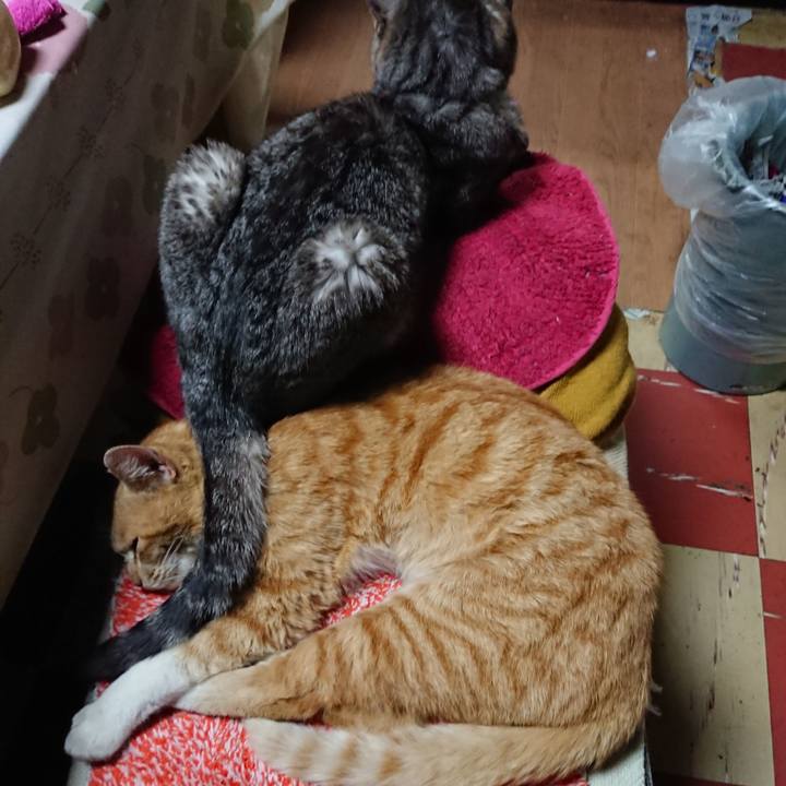 054a0c90 a96d 4344 b8a5 170f8392a456 1555936205779