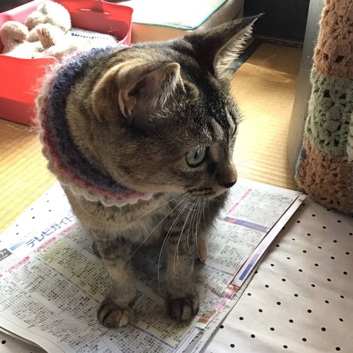 054a3481 956b 4158 b727 c4c616e10d7a 1627176766188