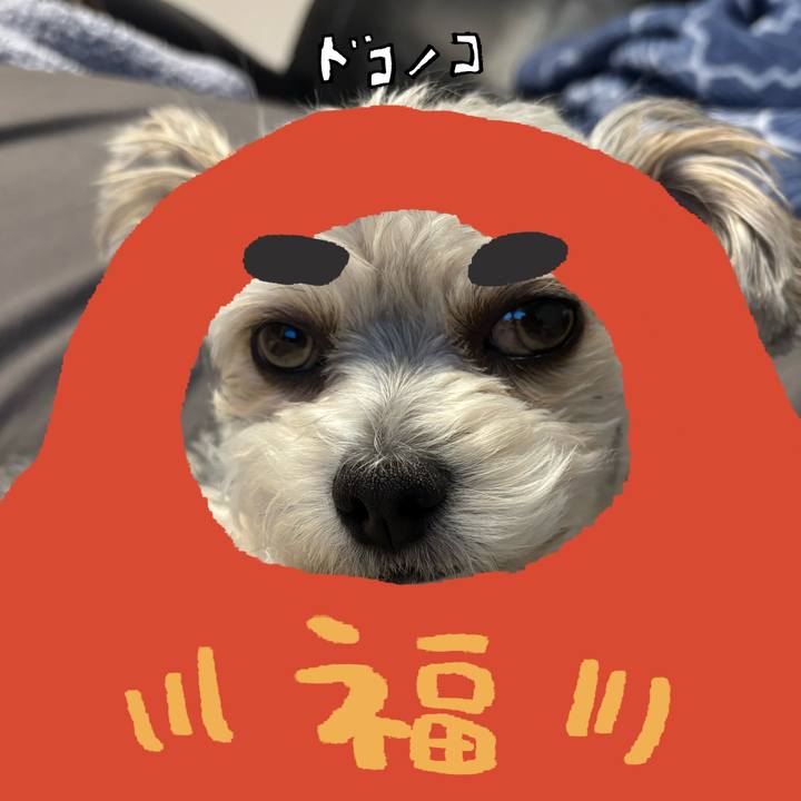 054a3c76 a9bc 4f47 a4ad b6660a49d1d0 1772086300339