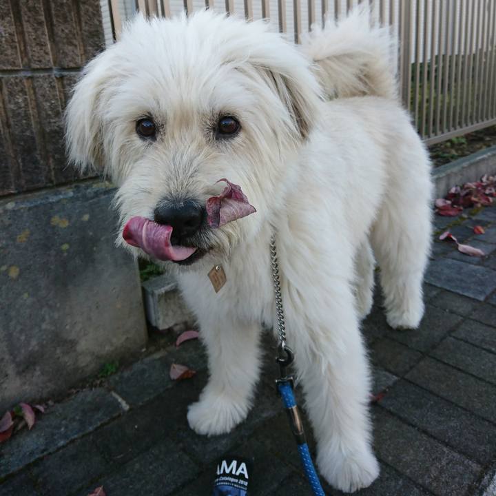 054a586b 8942 4b2d 95b1 a244dae2c337 1573128383267