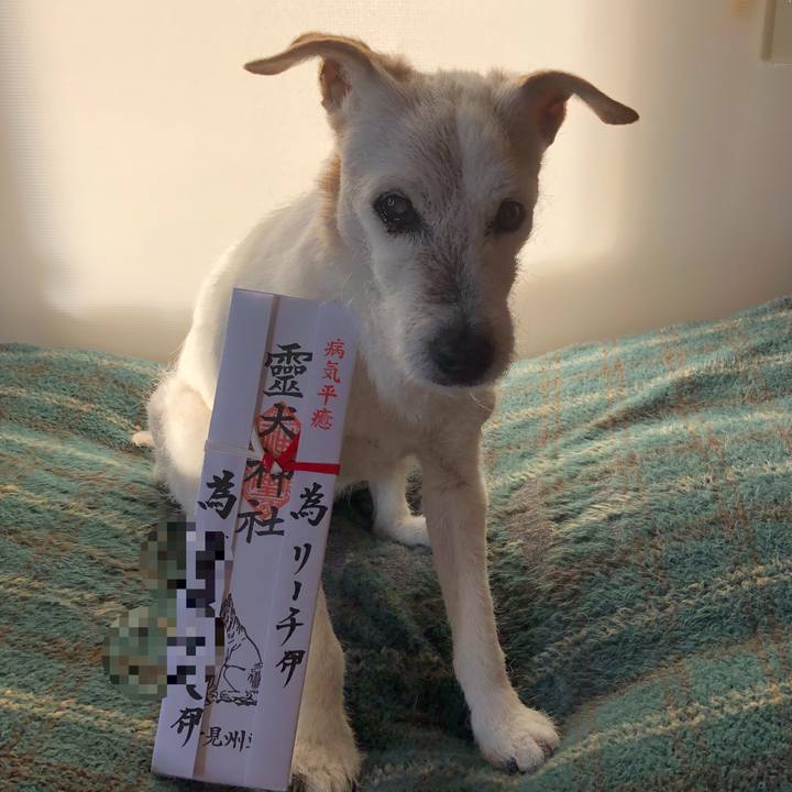 054a6bce 98f9 49a3 8367 6dad99736a2f 1642127194935