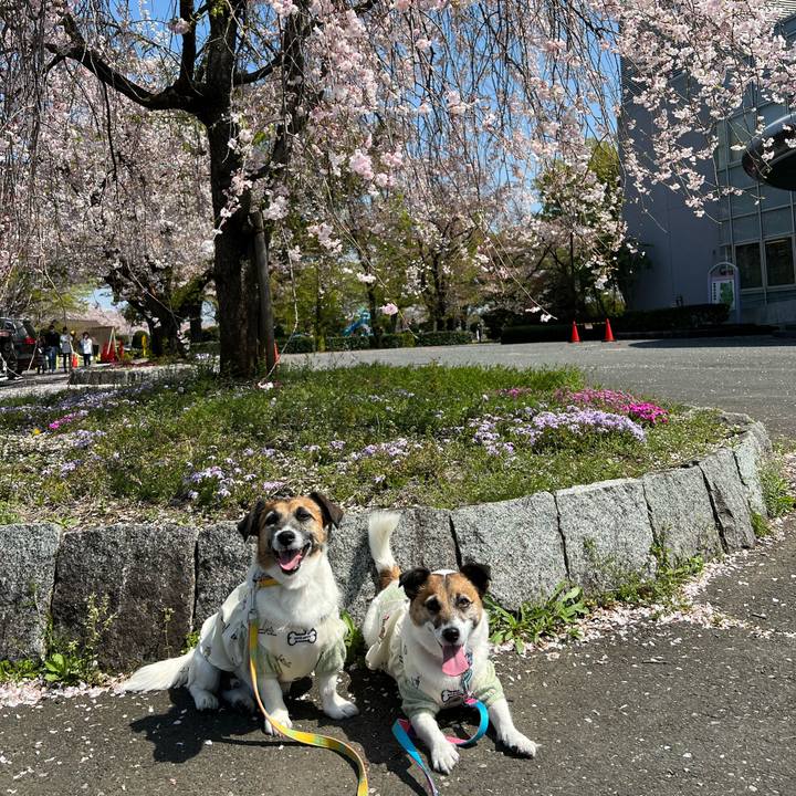 054a7385 acbf 40ab b3c2 ff6b7a4eb743 1680339974893