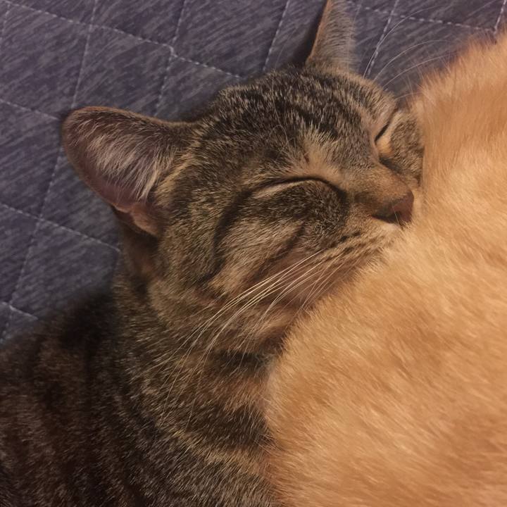 054ac12f fd29 4094 82d8 eaad33f3db7f 1572605611905