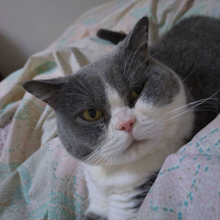 054ac2e1 fcd7 4274 98e9 10c0823119f6 1767703881058