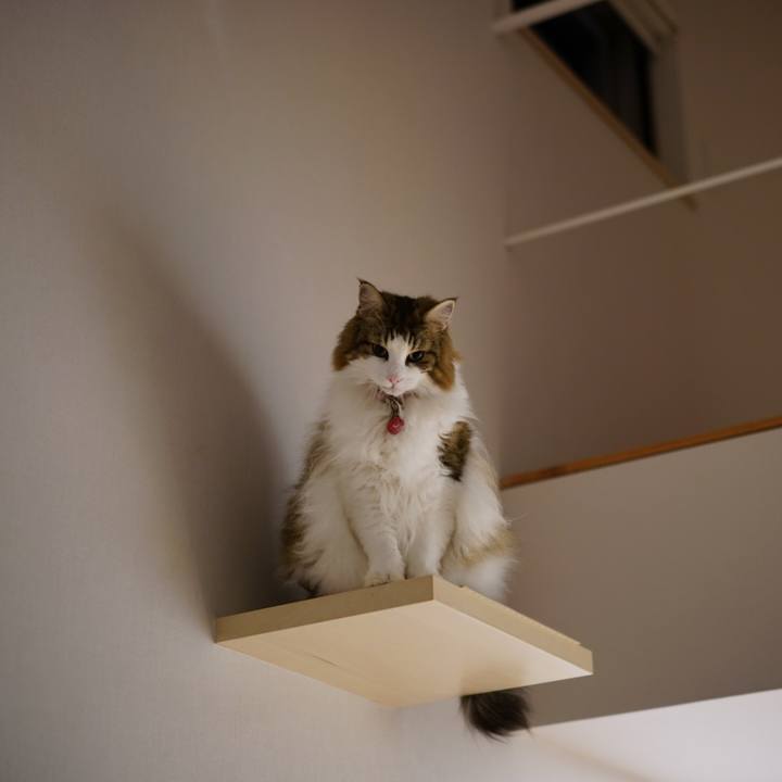 054b562a 873b 484a 8021 7c42dce93818 1700225559865