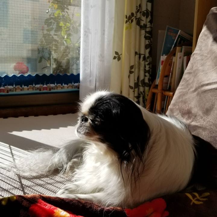 054b57de b440 4017 b8c5 b4a6264b5096 1513494837245