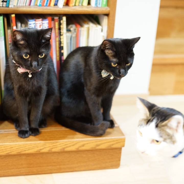 054bb5ed a356 42e1 9091 a19eba606ee3 1517960177440