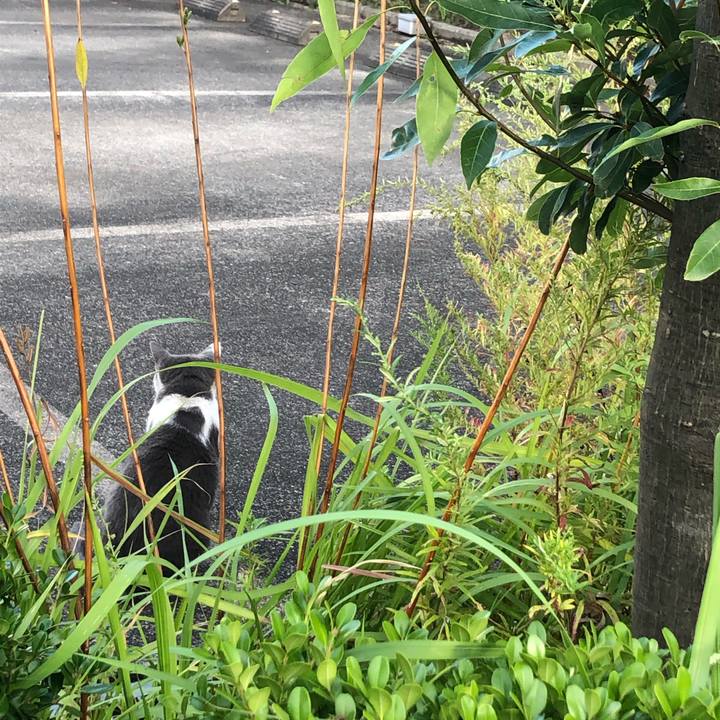 054bb76e 46a2 4891 b1e5 06277cab5485 1570465131338