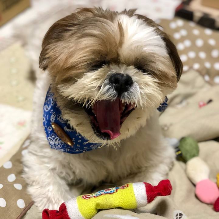 054bdbe5 dc54 4db5 b51a 6a4601e98051 1543745763572