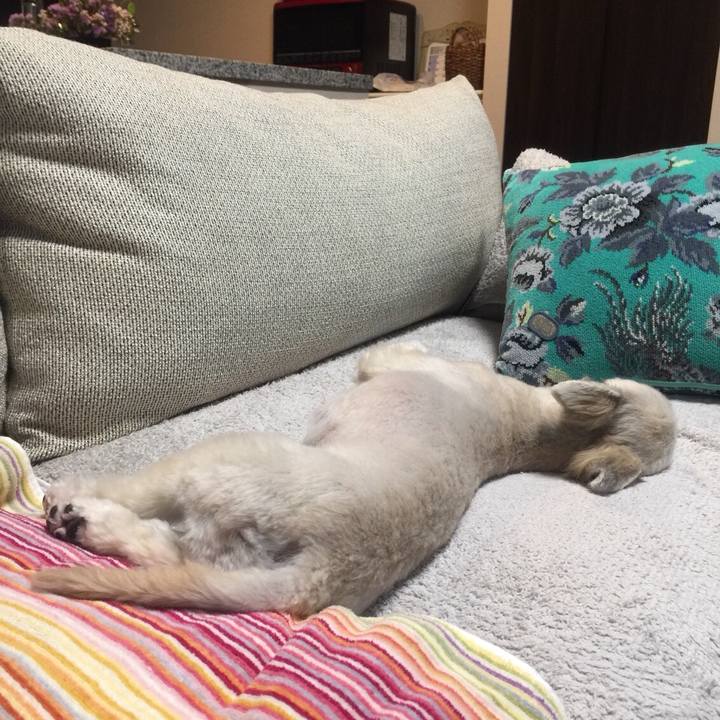 054bdf83 94fa 466b b5b5 f1c80d8e38f3 1535625913484