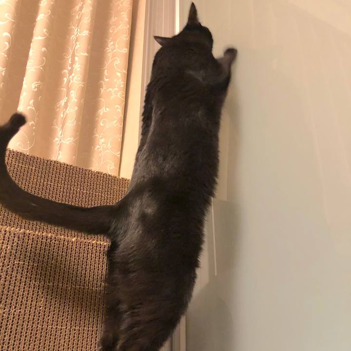 054be7e7 51fb 47bc b4bb 0c7ff1420dc7 1519648540251