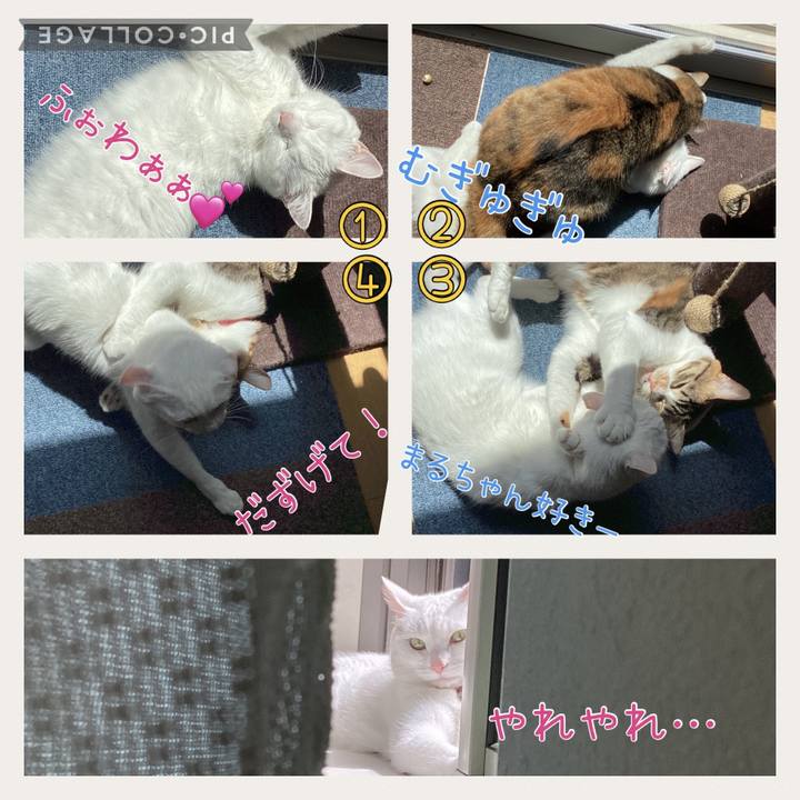 054c3179 0510 415f b341 d3b46e00b38e 1714364225626