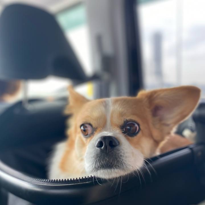 054c690b bec7 48ff 9418 9c8201badc4e 1679844218577