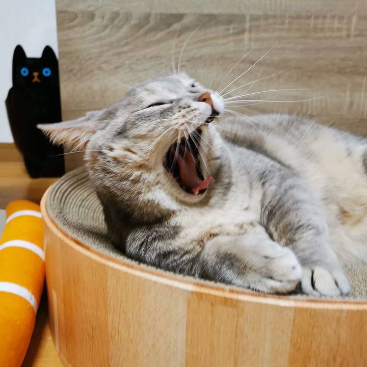 054c7a50 fe8d 41b4 af91 6f55ea40b90e 1632630045693