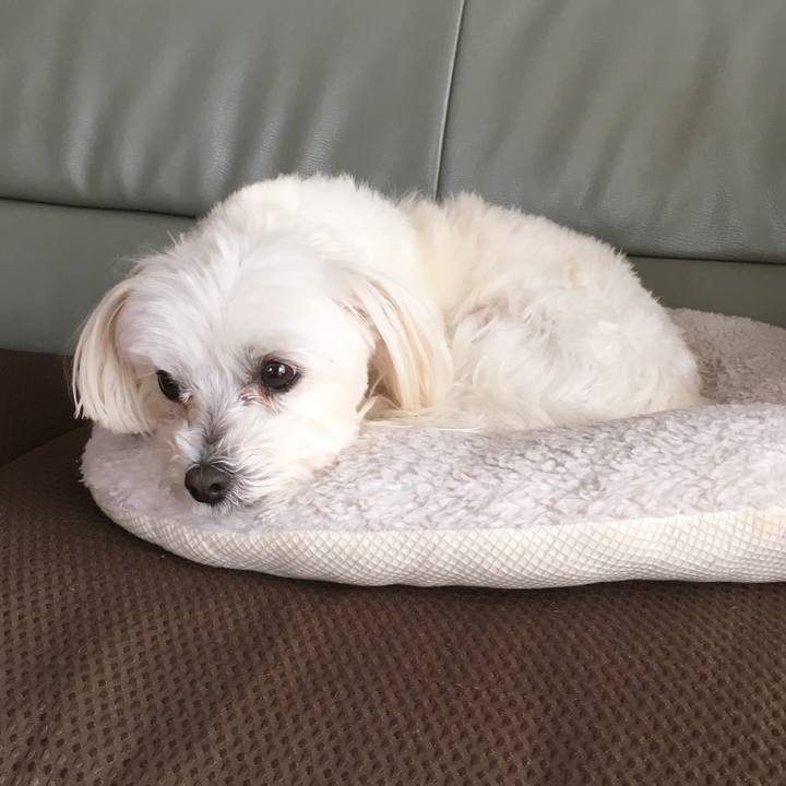 054c9c94 35e3 40e4 a5cd 08c0e54e47e3 1517617176798