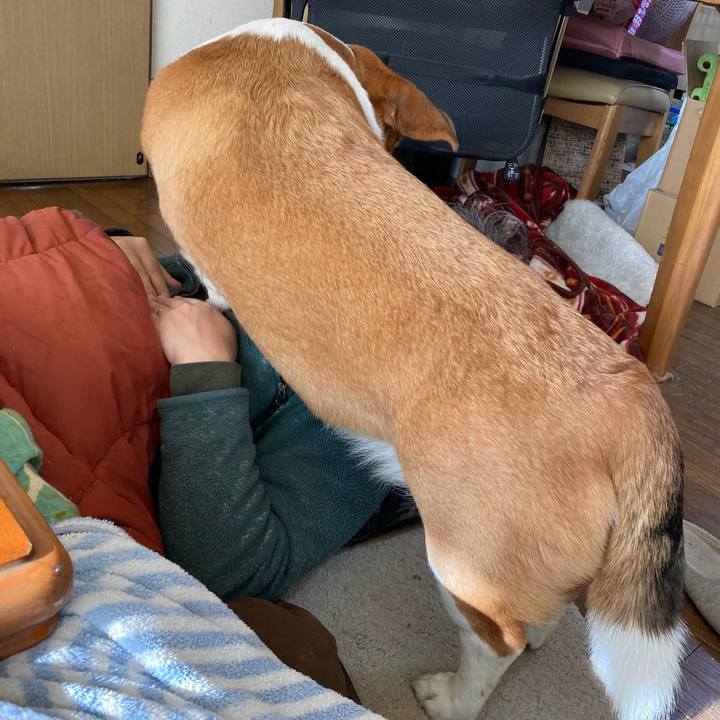 054cc0f3 7780 4b20 9de6 a50c912e05d3 1641611065691