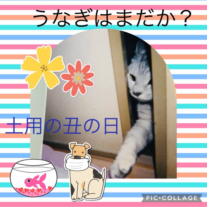054cc30b fc76 4a3c bc14 9d04f4f02829 1658561234137