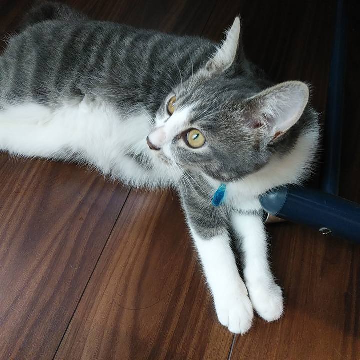 054cef45 18f4 4b82 921d 72ee219bffe5 1569713544820