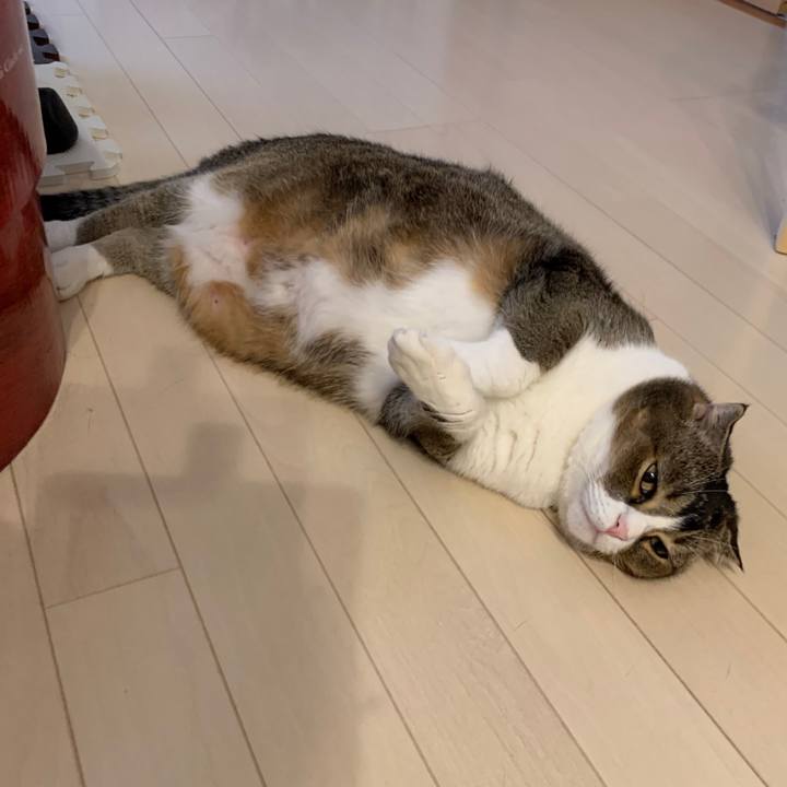 054cf65c e17f 44d7 b781 38f10939fadf 1599358059825